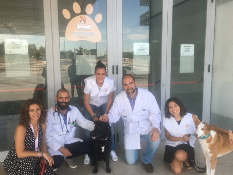 VISITAS CANINAS HURJC